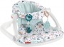 Fisher Price Sit Me Up Floor Seat (Pacific Pebble)